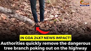In Goa 24X7 News impact! Authorities quickly remove the dangerous tree branch poking out on the HW