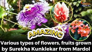 #Amazing! Various types of flowers, fruits grown by Surekha Kunklekar from Mardol
