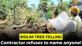 Siolim Tree Felling- Contractor refuses to name anyone!