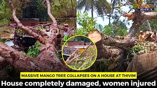 Massive mango tree collapses on a house at Thivim. House completely damaged, women injured