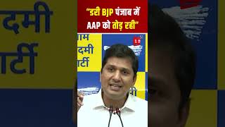 “डरी BJP पंजाब में AAP को तोड़ रही, लेकिन वो ये नहीं कर सकती..”, AAP Leader Saurabh Bhardwaj का दावा