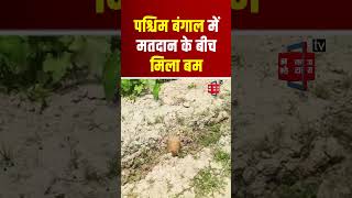 West Bengal Lok Sabha Elections 2024: First Phase का मतदान जारी, Bhetaguri Area से Bomb Recovered!