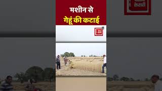 मशीन से ऐसे हो रही गेहूं की कटाई,  ICAR ने जारी किया Video | Indian Farming