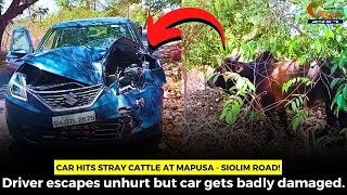 Car Hits Stray Cattle at Mapusa - Siolim road! Driver escapes unhurt but car gets badly damaged