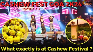 #MustWatch- What exactly is at Cashew Festival?