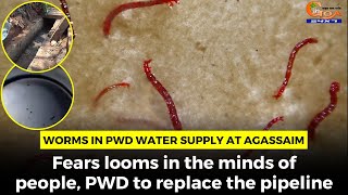 Worms in PWD water supply at Agassaim. Fears looms in the minds of people