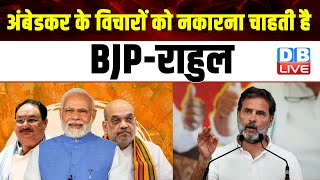 अंबेडकर के विचारों को नकारना चाहती है BJP-Rahul Gandhi | Lok Sabha Election | #dblive