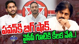 పవన్ కి బిగ్ షాక్. వైసీపీ గూటికి కీలక నేత...! | Bigg Shock to Janasena | AP Elections | TDP