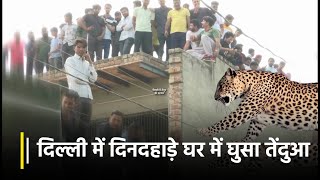 Delhi में दिनदहाड़े घर में घुसा तेंदुआ, कई लोगों पर किया हमला | Leopard | Delhi| Hindi News