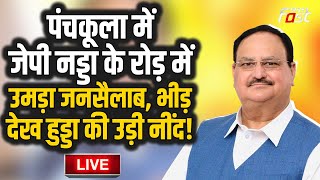 ????Live| Panchkula में JP Nadda के रोड़ में उमड़ा जनसैलाब, भीड़ देख HOODA की उड़ी नींद!| Haryana | Bjp