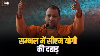 CM Yogi LIVE Sambhal: सम्भल में सीएम योगी की दहाड़, चुनावी सभा को कर रहें संबोधित | Uttar Pradesh