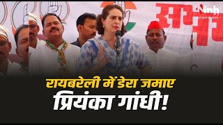 Priyanka Gandhi Live | कांग्रेस के सामने परंपरागत सीट बचाने की चुनौती!