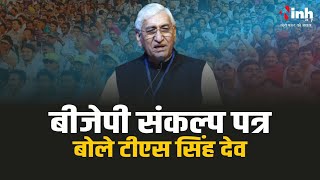 TS Singh Deo On BJP Manifesto | बीजेपी के संकल्प पत्र पर बोले पूर्व डिप्टी सीएम टीएस सिंहदेव