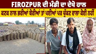 firozpur ਦੀ ਮੰਡੀ ਦਾ ਦੇਖੋ ਹਾਲ, ਕਣਕ ਨਾਲ ਭਰੀਆਂ ਬੋਰੀਆਂ ਤਾਂ ਪਈਆਂ ਪਰ ਚੁੱਕਣ ਵਾਲਾ ਕੋਈ ਨਹੀਂ