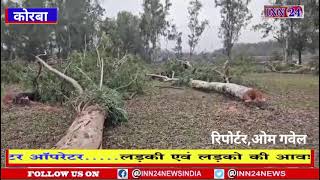 हसदेव की तरह कुसमुंडा क्षेत्र में सैकड़ों विशालकाय पेड़ो की कटाई, ग्रामीणों ने जताया विरोध