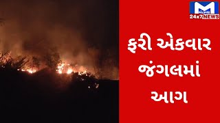 Mahisagar જીલ્લામાં જંગલમાં આગ  | MantavyaNews