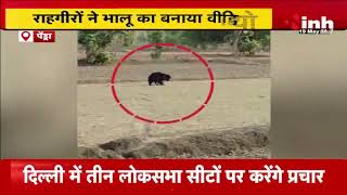 Pendra में गांव के नजदीक खेत भालू विचरण करते देखा गया, राहगीरों ने बनाया वीडियो | CG News