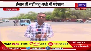 Jaipur Raj News | राजस्थान में गर्मी का सितम, इंसान ही नहीं पशु-पक्षी भी परेशान | JAN TV