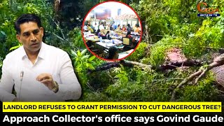 Landlord refuses to grant permission to cut dangerous tree? Approach Collector's office says Gaude