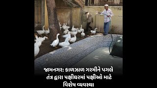 જામનગર : કાળઝાળ ગરમીને પગલે તંત્ર દ્વારા પક્ષીઘરમાં પક્ષીઓ માટે વિશેષ વ્યવસ્થા