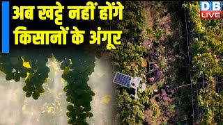 अब खट्टे नहीं होंगे किसानों के अंगूर | AI helps grape farmers boost their produce #EcoIndia #dblive