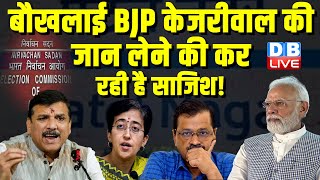 बौखलाई BJP Arvind Kejriwal की जान लेने की कर रही है साजिश ! Sanjay Singh | PM Modi | #dblive