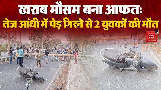 Delhi Accident: तेज आंधी-तूफान की वजह से गिरे पेड़, 2 युवकों की दर्दनाक मौत