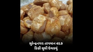 સુરેન્દ્રનગર: તાપમાન 45.9 ડિગ્રી સુધી ઉચકયું