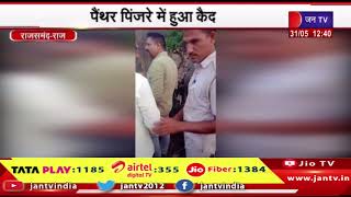 Rajsamand Raj. | 2 वर्षीय बच्चे का शिकार किया पैंथर, ट्रेंकुलाइज कर वन विभाग की टीम ले गई उदयपुर