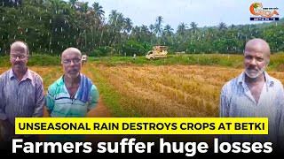 Unseasonal rain destroys crops at Betki. Farmers suffer huge losses