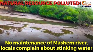 Natural resource polluted! No maintenance of Mashem river, locals complain about stinking water