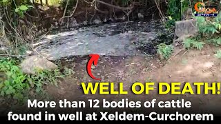 #Wellofdeath! More than 12 bodies of cattle found in well at Xeldem-Curchorem