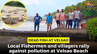 #DeadFish at Velsao- Local Fishermen and villagers rally against pollution at Velsao Beach
