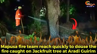 Mapusa fire team reach quickly to douse the fire caught on Jackfruit tree at Aradi Guirim