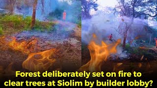 #Shocking! Forest deliberately set on fire to clear trees at Siolim by builder lobby?