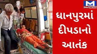 Dahod : ધાનપુરમાં આઘેડ મહીલા પર દીપડાનો હુમલો | MantavyaNews