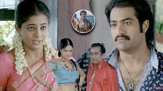 Yamarajaa Jr NTR Kannada Full Movie Part 13 | Priyamani | Mamta Mohandas |SS Rajamouli