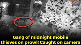 #Beware! Gang of midnight mobile thieves on prowl! Caught on camera