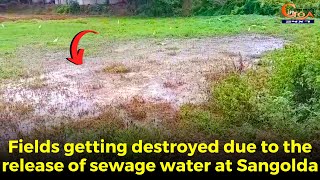 Sewage water released into the fields.
