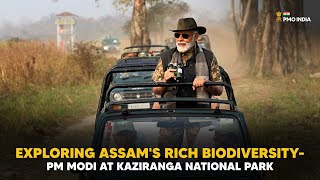 Exploring Assam's rich biodiversity- PM Modi at Kaziranga National Park