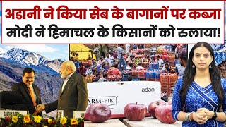 अडानी ने किया हिमाचल के सेब बागानों पर 'कब्जा' | किसानों को मिलकर लूट रहे हैं मोडानी | Himachal
