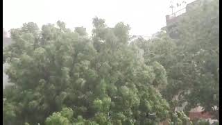 दिल्ली के रोहिणी में तेज हवाओं के साथ बारिश से मौसम हुआ सुहाना