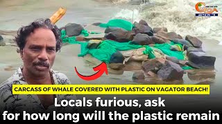 Carcass of whale covered with plastic on Vagator beach!