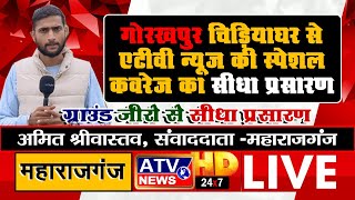????TVLIVE : गोरखपुर चिड़ियाघर से ATV न्यूज की स्पेशल कवरेज का LIVE प्रसारण | अमित श्रीवास्तव LIVE