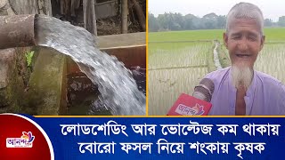 লোডশেডিং আর ভোল্টেজ কম থাকায় বোরো ফসল নিয়ে শংকায় কৃষক। Ananda Tv