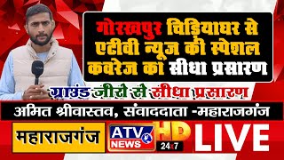 ????TVLIVE : गोरखपुर चिड़ियाघर से ATV न्यूज की स्पेशल कवरेज का LIVE प्रसारण | अमित श्रीवास्तव LIVE #ATV