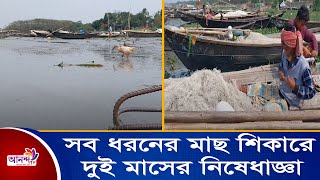 পদ্মা মেঘনায় শুরু হয়েছে সব ধরনের মাছ শিকারে দুই মাসের নিষেধাজ্ঞা।