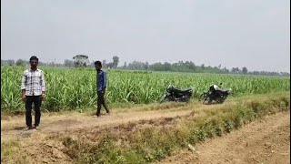 भोपा थाना क्षेत्र में खेत की चकरोड तोडने का लगाया आरोप