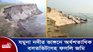 যমুনা নদীর ভাঙ্গনে অর্ধশতাধিক বসতভিটাসহ ফসলি জমি।