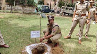 मुजफ्फरनगर एसएसपी ने किया वृक्षारोपण, दिया पर्यावरण बचाव का संदेश